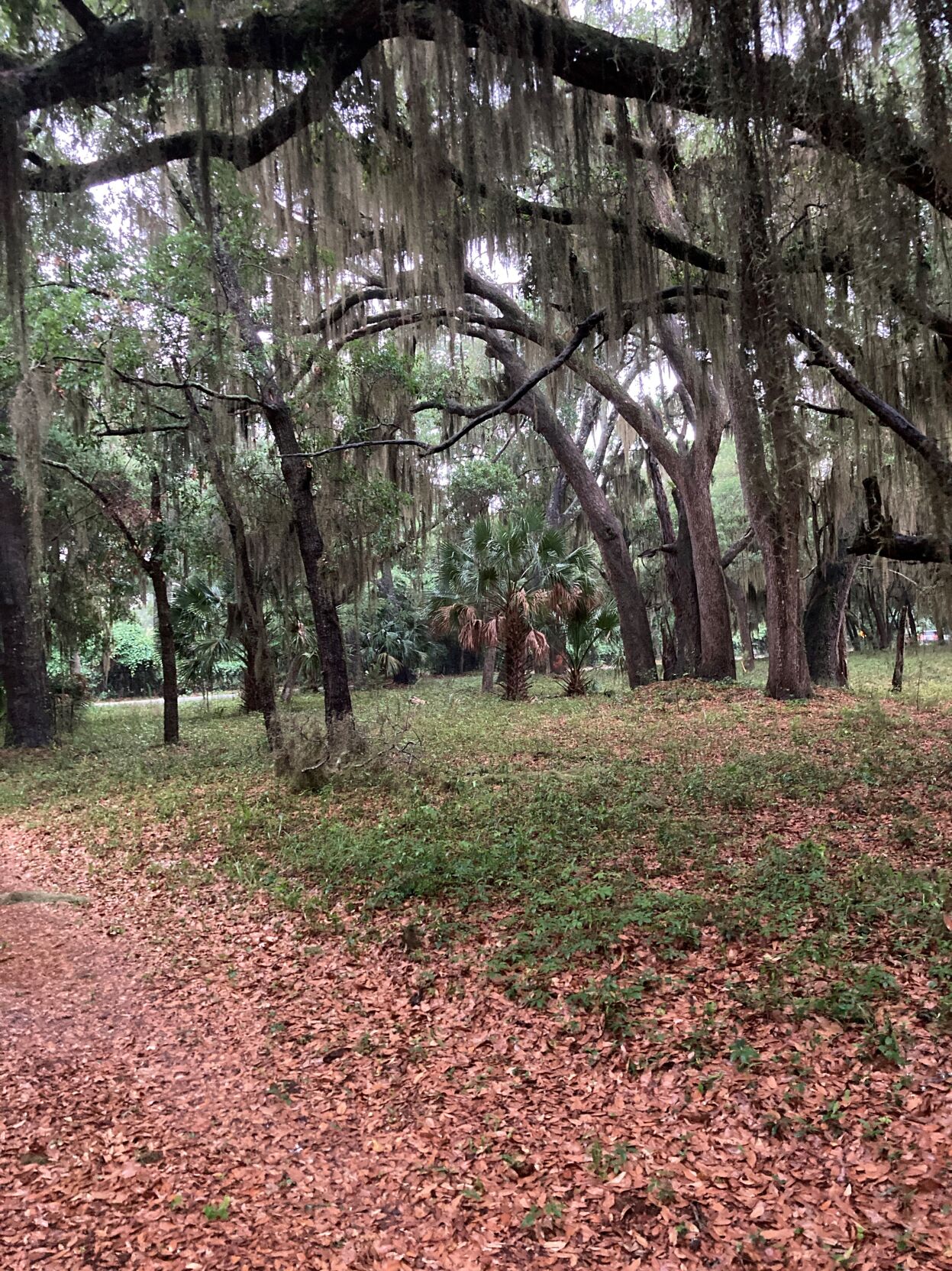 Mid-Island Park's Hilton Head site (copy)